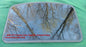 2003 CHRYSLER PT CRUISER YEAR SPECIFIC FACTORY OEM SUNROOF GLASS FREE SHIPPING! - RarePartsFinder.Com
