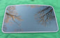 2000 BUICK REGAL YEAR SPECIFIC SUNROOF GLASS  NO ACCIDENT OEM FREE SHIPPING!