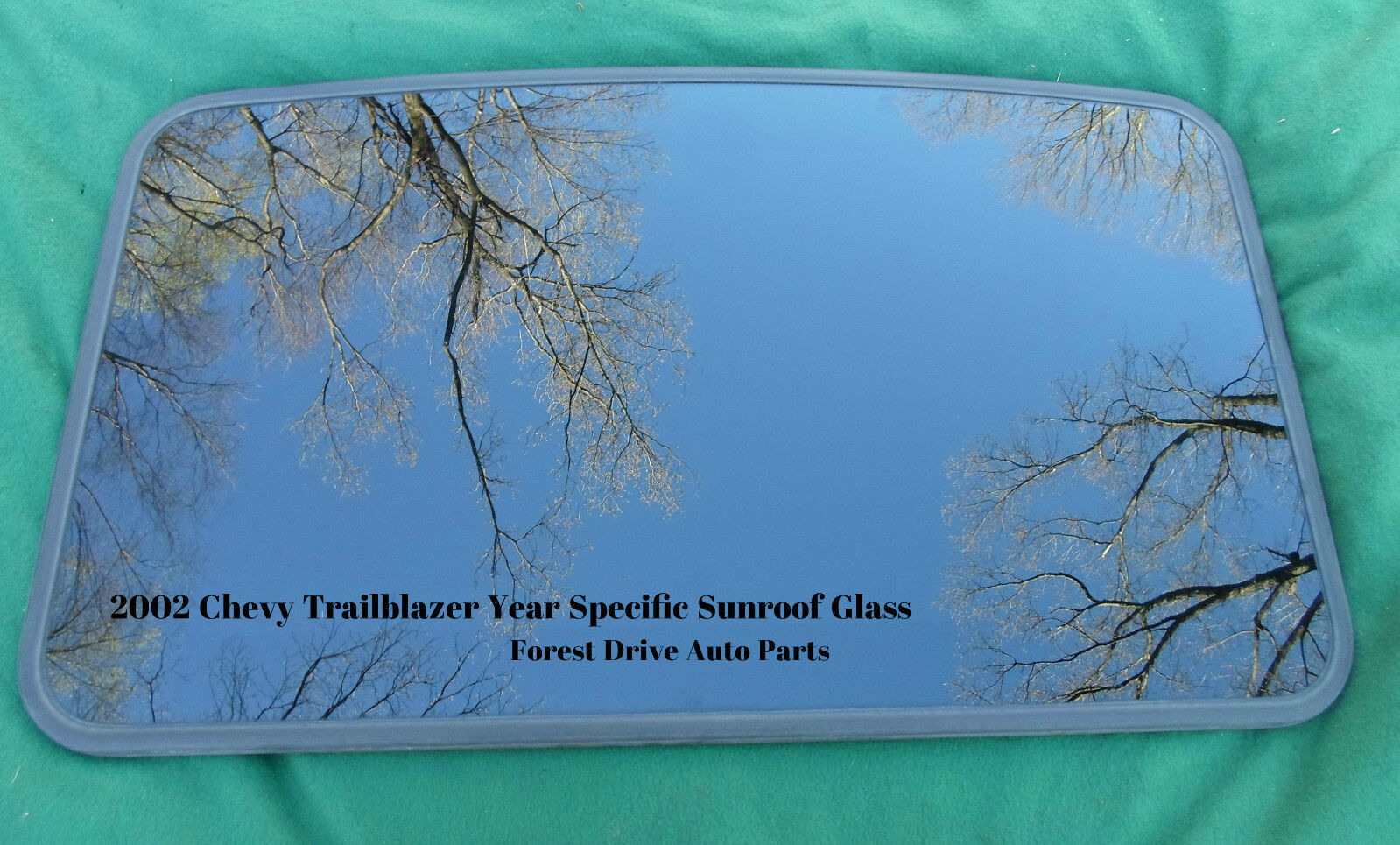 2002 CHEVY TRAILBLAZER  YEAR SPECIFIC SUNROOF GLASS PANEL  OEM FREE SHIPPING! - RarePartsFinder.Com