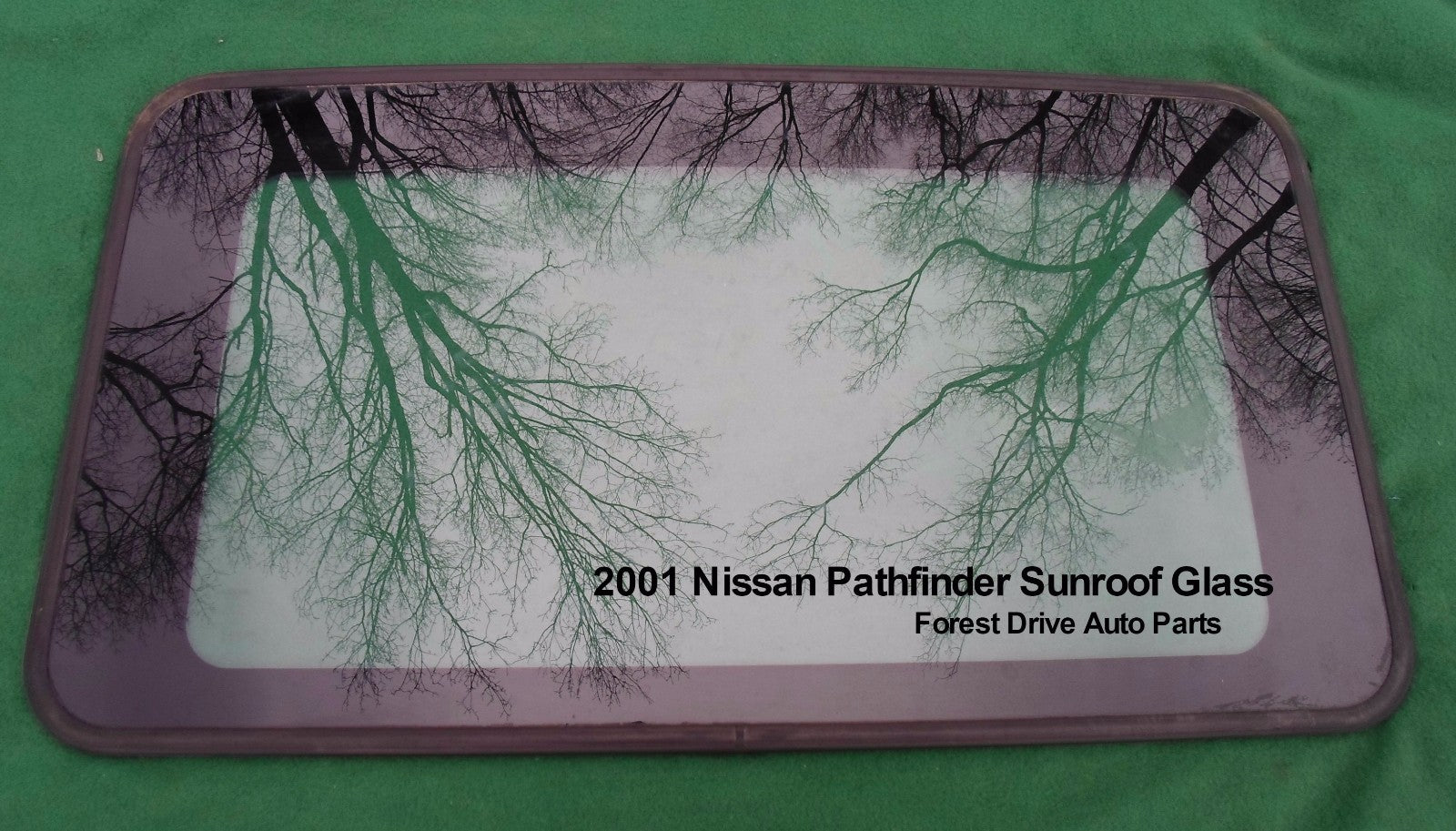 2001 NISSAN PATHFINDER YEAR SPECIFIC OEM SUNROOF GLASS PANEL  FREE SHIPPING! - RarePartsFinder.Com