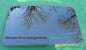 2008 CHRYSLER 300 YEAR SPECIFIC OEM SUNROOF GLASS PANEL FREE SHIPPING! - RarePartsFinder.Com