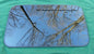 2007 VOLKSWAGON JETTA YEAR SPECIFIC SUNROOF GLASS NO ACCIDENT OEM FREE SHIPPING! - RarePartsFinder.Com