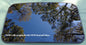 2006 VOLKSWAGON BEETLE YEAR SPECIFIC SUNROOF GLASS OEM FREE SHIPPING!