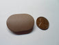 FORD F150 PULL/GRAB/ASSIST OVERHEAD HANDLE SCREW BOLT COVER PLUG CAP READ!! - RarePartsFinder.Com