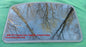2003 CHRYSLER PT CRUISER YEAR SPECIFIC FACTORY OEM SUNROOF GLASS 05016632AB; 05016632AA