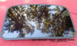 2001 MERCURY SABLE YEAR SPECIFIC  SUNROOF GLASS OEM NO ACCIDENT!  FREE SHIPPING! - RarePartsFinder.Com
