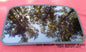 2000 MERCURY SABLE YEAR SPECIFIC  SUNROOF GLASS OEM NO ACCIDENT!  FREE SHIPPING!
