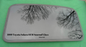 1999 TOYOTA SOLARA YEAR SPECIFIC OEM FACTORY SUNROOF GLASS FREE SHIPPING!