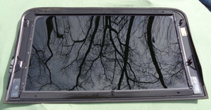 2013 - 2019 FORD ESCAPE OEM FACTORY FRONT SUNROOF GLASS PANEL FREE SHIPPING!
