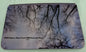 2008 SATURN ASTRA HATCHBACK FRONT SUNROOF GLASS PANEL OEM  FACTORY FREE SHIPPING