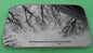 2016 VOLKSWAGON JETTA YEAR SPECIFIC  OEM FACTORY SUNROOF GLASS FREE SHIPPING!