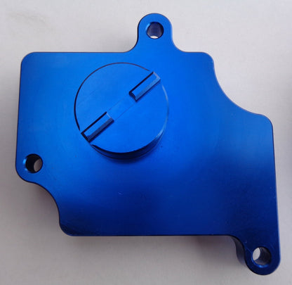 Fit for Dodge Charger Challenger 15+ Active Exhaust Delete Simulator Blue