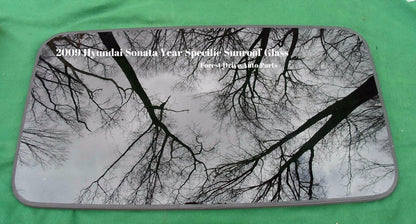 2009 YEAR SPECIFIC HYUNDAI SONATA OEM  FACTORY SUNROOF GLASS FREE SHIPPING! - RarePartsFinder.Com