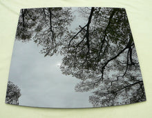 MKT  MKX  Edge Front Sunroof Glass 7T4Z-18500A18-A Local Pickup Only