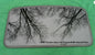 1998 TOYOTA CAMRY SUNROOF GLASS PANEL JAPAN BUILT YEAR SPECIFIC OEM FREE SHIP