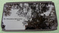 15 16 17 18 AUDI Q3 REAR OEM FACTORY SUNROOF GLASS NO ACCIDENT  FREE SHIPPING!