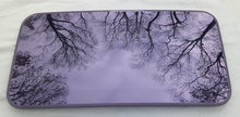 2008 - 2016 HYUNDAI GENESIS OEM FACTORY SUNROOF GLASS 81610-2M001; 816102M001
