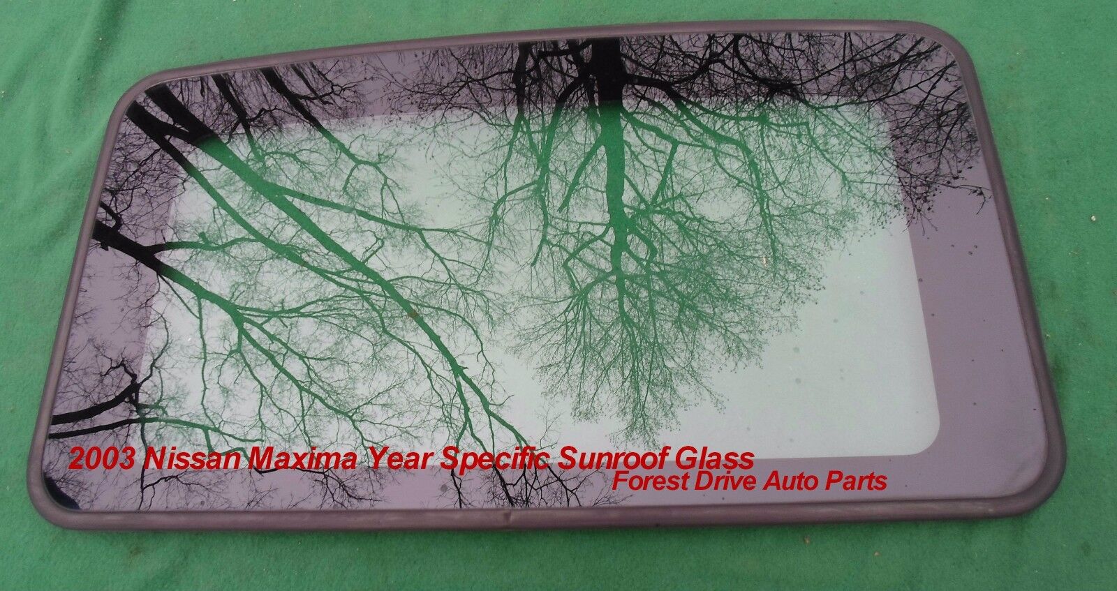 2003 NISSAN MAXIMA YEAR SPECIFIC OEM FACTORY SUNROOF GLASS FREE SHIPPING - RarePartsFinder.Com