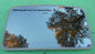 2000 LINCOLN TOWN CAR OEM FACTORY YEAR SPECIFIC SUNROOF GLASS