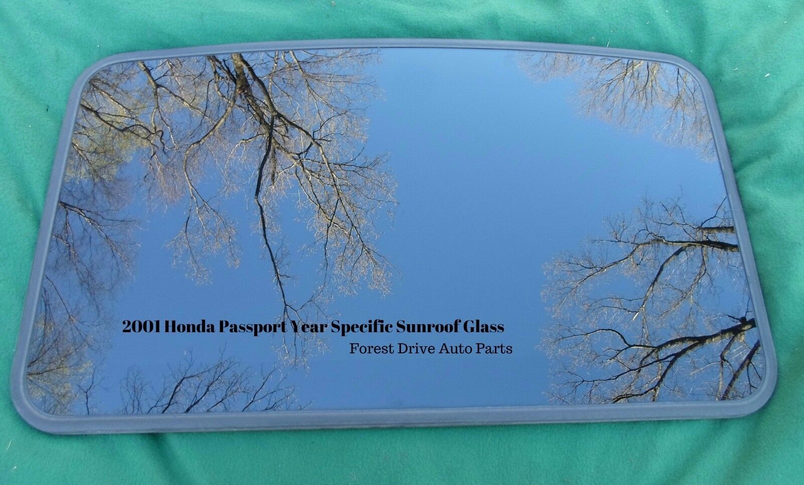2001 HONDA PASSPORT OEM FACTORY YEAR SPECIFIC SUNROOF GLASS PANEL  FREE SHIPPING