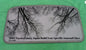 2001 TOYOTA CAMRY SUNROOF GLASS PANEL JAPAN BUILT YEAR SPECIFIC OEM FREE SHIP