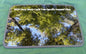 2001 CHEVROLET MONTE CARLO YEAR SPECIFIC SUNROOF GLASS OEM FREE SHIPPING! - RarePartsFinder.Com