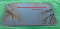 2001 FORD EXPLORER SPORT OEM FACTORY YEAR SPECIFIC SUNROOF GLASS FREE SHIPPING!