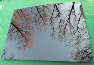 2004 - 2009 CADILLAC SRX REAR OEM FACTORY SUNROOF GLASS 15212371 FREE SHIPPING
