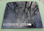 2008 SATURN ASTRA HATCHBACK REAR SUNROOF GLASS PANEL OEM  FACTORY FREE SHIPPING