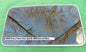 2006 CHEVY TAHOE YEAR SPECIFIC OEM SUNROOF GLASS NO ACCIDENT  FREE SHIPPING!