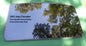 2003 JEEP CHEROKEE YEAR SPECIFIC OEM FACTORY SUNROOF GLASS   FREE SHIPPING