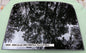 2009 - 2016 LINCOLN MKS REAR OEM FACTORY SUNROOF GLASS NO ACCIDENT REE SHIPPING - RarePartsFinder.Com
