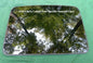 2010 CHEVY COBALT OEM YEAR SPECIFIC FACTORY SUNROOF GLASS FREE SHIPPING! - RarePartsFinder.Com