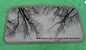 1998 TOYOTA CAMRY SUNROOF GLASS PANEL JAPAN BUILT YEAR SPECIFIC OEM FREE SHIP