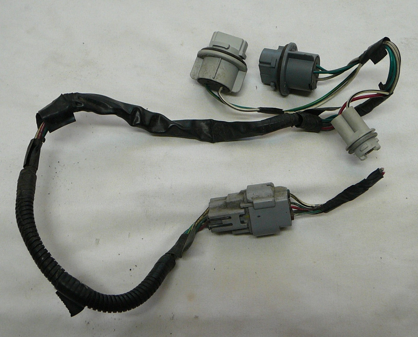 00 - 04 Tundra OEM Socket Rear L or R Taillight Brake Plug 81555-0C010 A11