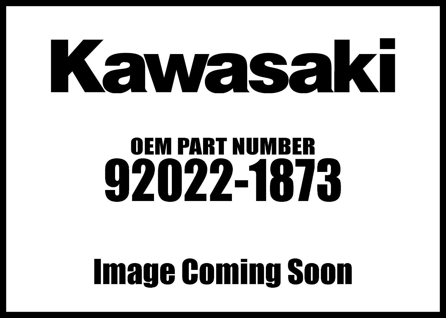 WASHER, Genuine Kawasaki OEM Motorcycle / ATV Part, [gp]